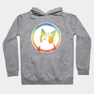 rainbow cat Hoodie